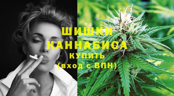 спиды Инта