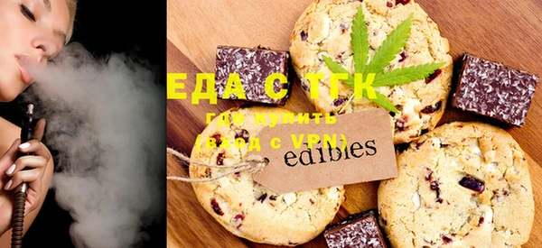 гашик Инсар