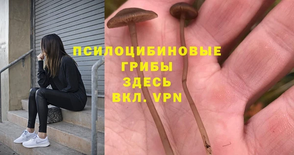 спиды Инта