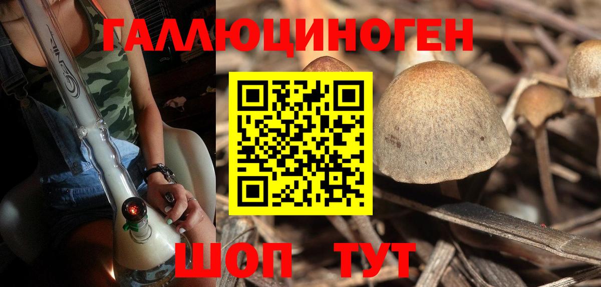 Смоленск  Галлюциногенные грибы Psilocybine cubensis  Вход с VPN 