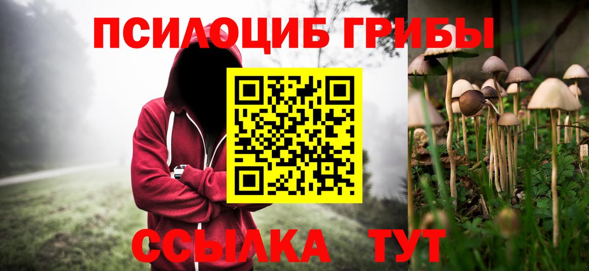 Псилоцибиновые грибы мухоморы Смоленск